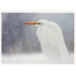 Stationary Great Egret Falling Snowflakes Box Of 10 Wildlife Christmas Cards. Fixed Price $16.99.