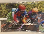 Magnetic Mailbox Cover Race Horses Fits Standard Size Outdoor Vinyl. Fixed Price $14.00.
