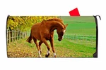 Horse 6 Vinyl Magnetic Mailbox Cover Excellent Quality Made The Usa. Fixed Price $16.99.