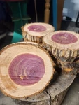 Red Cedar Live Edge Wood Tree Slice Rustic Wedding Log Cabin Decor Craft. Fixed Price $9.00.