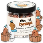 Positive Capybara Jar 60 Calm & Cozy Affirmation Cards, Emotional. Fixed Price $22.39.