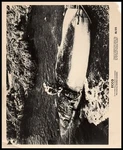 George Sanders + Rita Renoir Ecco (1965) Original Vintage Photo 10. Fixed Price $19.99.