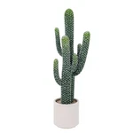 Faux Desert Cacti Potted With Planter For Indoor Outdoor Decoration. Fixed Price $75.98.