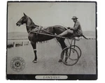 C. 1890S American Trotter Horse Card J & P Coats Racing 2ND Series Fantasy. Fixed Price $37.50.
