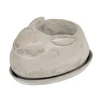 Creative Co-op Cement Rabbit Planter & Saucer Set Of 2 Garden Decor. Fixed Price $39.04.