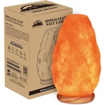 Himalayan Salt Lamp 10 In. Tall With Dimmer Switch - Night Light Table. Fixed Price $31.09.