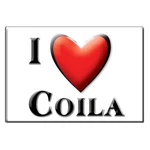 Coila, Carroll County, Mississippi - Fridge Magnet Love Souvenir Usa. Fixed Price $5.90.