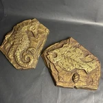 Vintage Syroco Wall Decor Seahorse & Fish Ocean Gold Tone 7174 7173. Fixed Price $12.50.