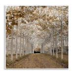 Stupell Industries White Gold Birch Grove Wall Plaque Art Design By Assaf Fra.... Fixed Price $19.83.