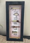 Rivers Edge Products Fishing Lure Shadowbox Rustic Frame Glass /in. Fixed Price $23.00.