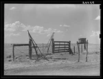 Photo:cattle Guard Gate And Mail Box On Ranch Near Marfa, Texas. Fixed Price $12.99.